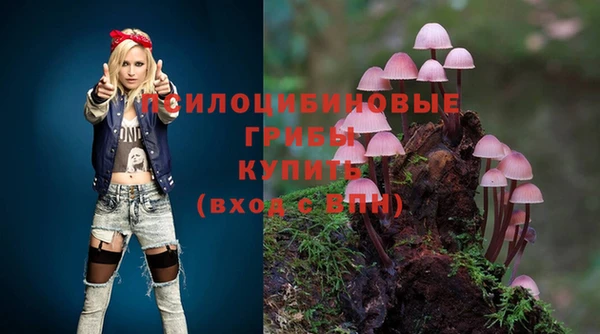 ALPHA-PVP Бородино