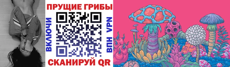 Псилоцибиновые грибы Magic Shrooms  Мытищи 